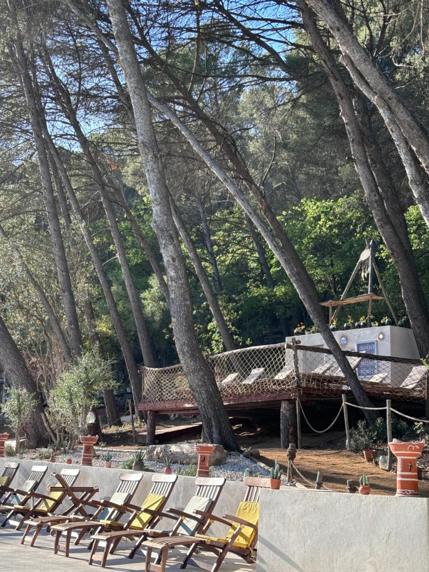 Le Castel De Fies Ξενοδοχείο Solliès-Pont Εξωτερικό φωτογραφία